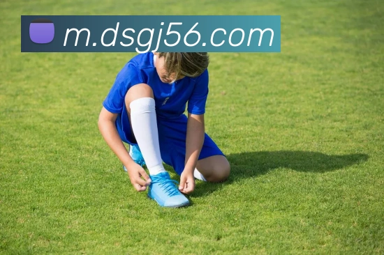 东升国际服务体系